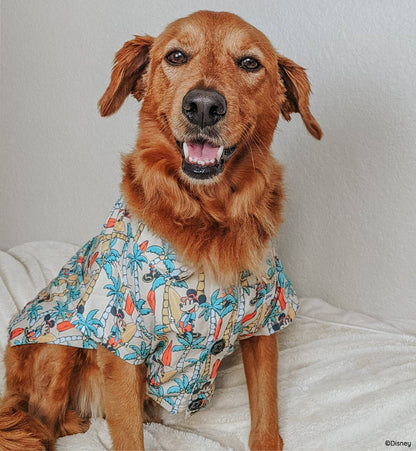 Mickey Mouse Dog Hawaiian Shirt