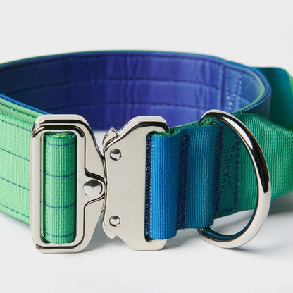 Tactical Dog Collar - Lime Wave