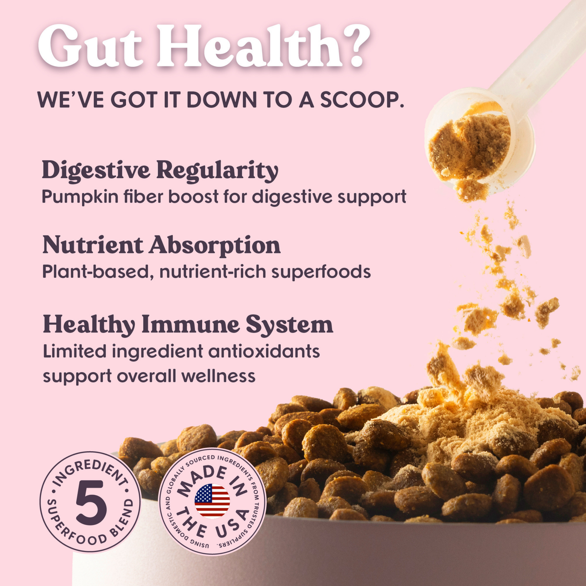 Pumpkin & Superfoods Daily Boost Powder | Digestive Support