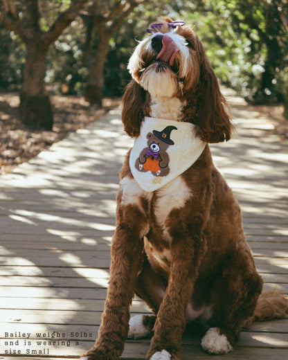 Spooky Teddy Knit Bandana with Scalloped Edge