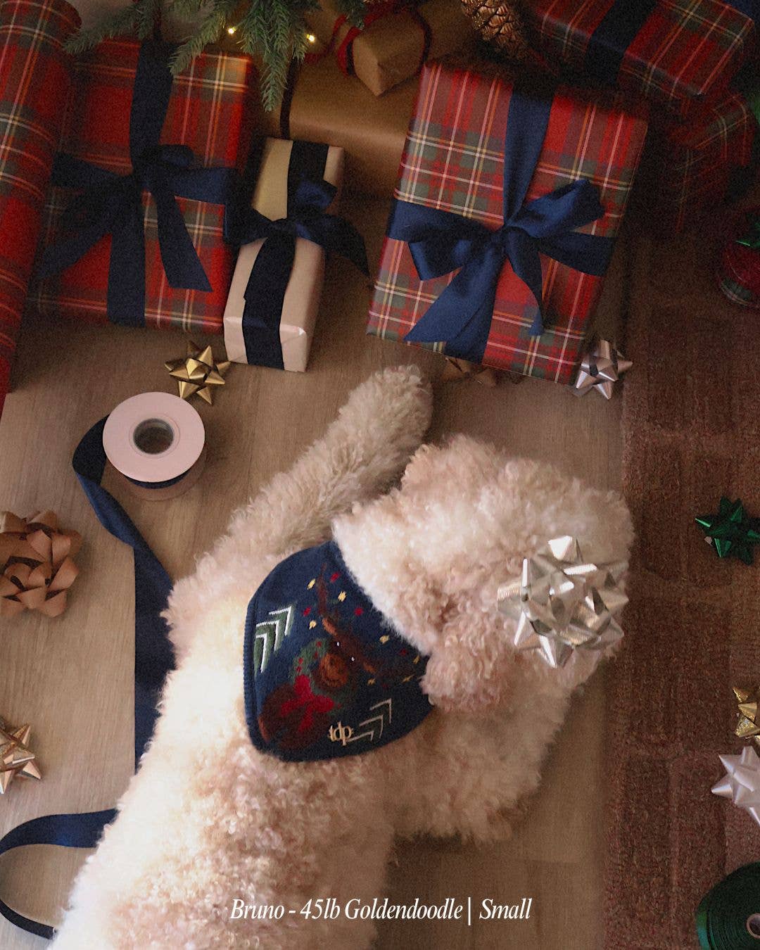 Monty The Moose Dog Bandana