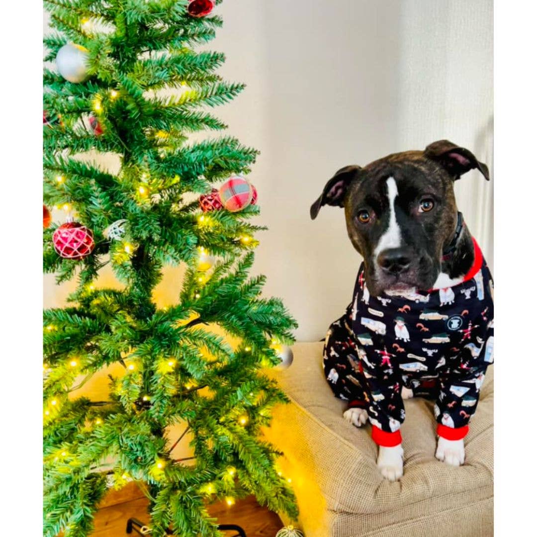 Pitter's Full Pit bull Pajamas