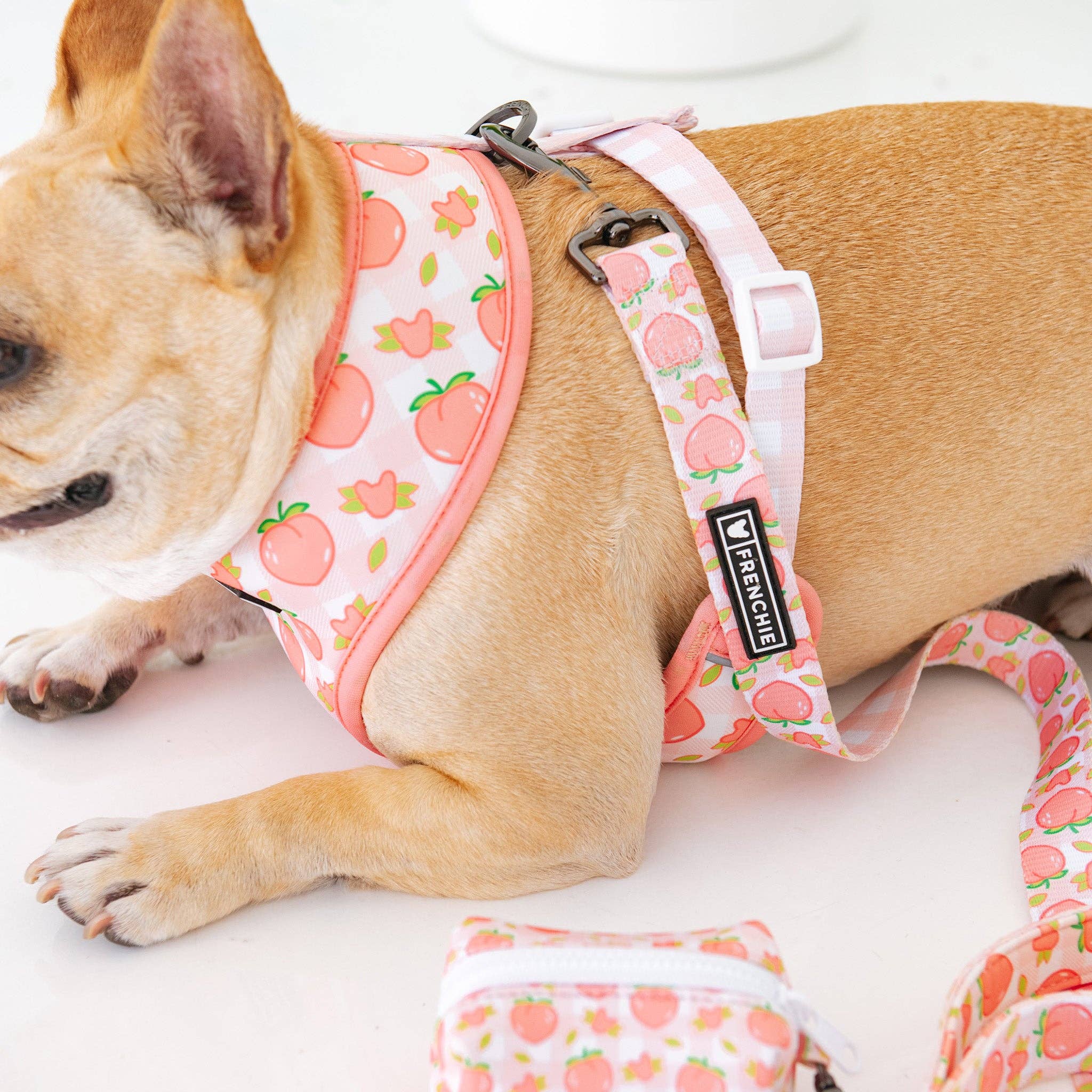 Frenchie Duo Reversible Harness Peaches Pixie Sticks Dog Boutique