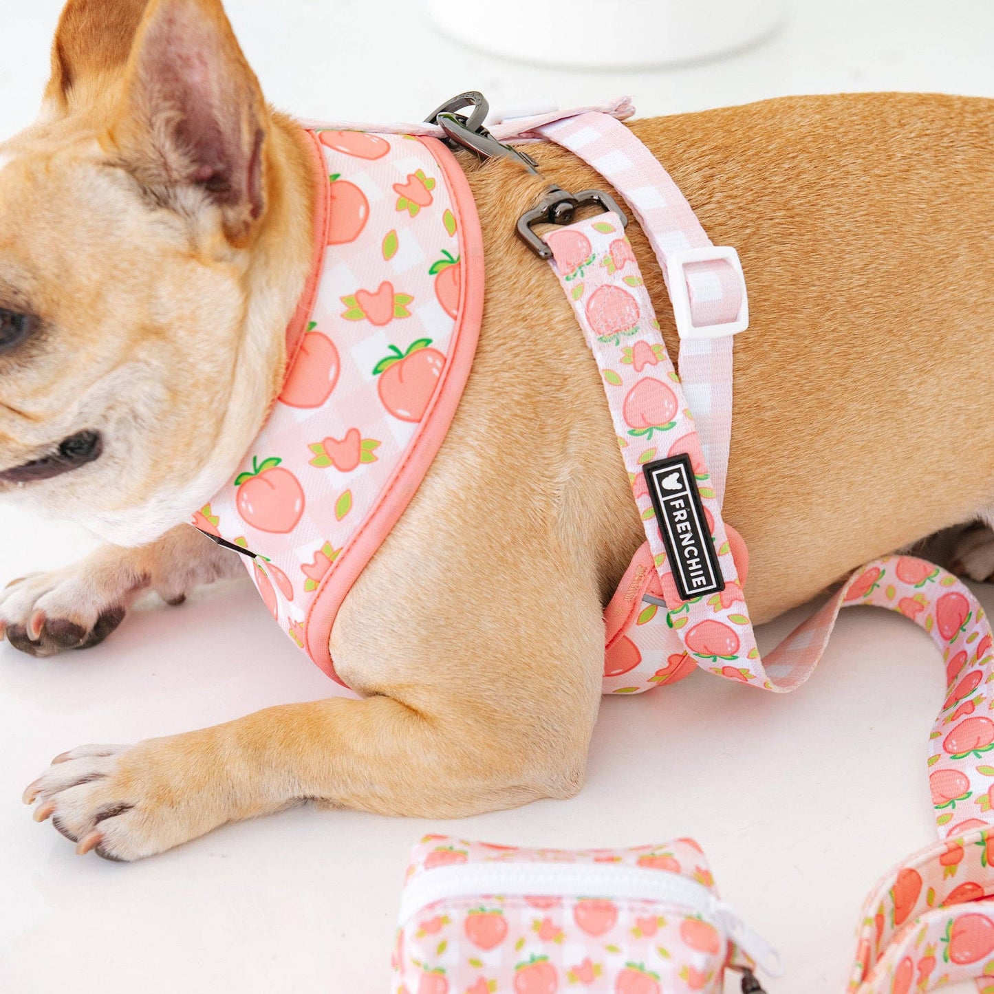 Frenchie Duo Reversible Harness - Peaches