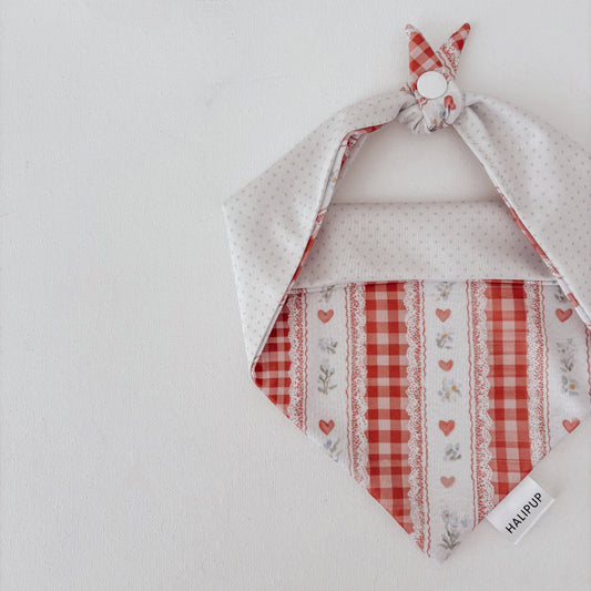 The Scarlet Red Gingham and Heart Reversible Dog Bandana
