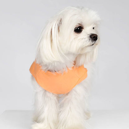 Happy Easter Dog Shirt