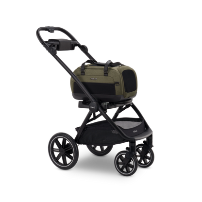 Tavo Dupree II + Roscoe Pet Travel System