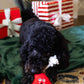 Wrecking Bauble Christmas Dog Toy