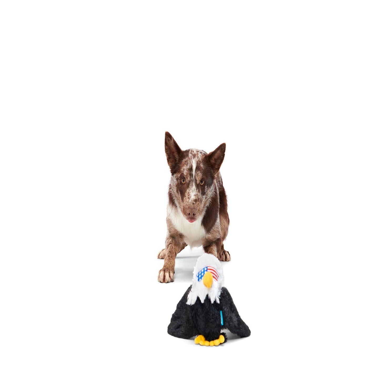 Bold Eagle Fourth Of July American Plush Dog Toy