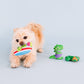 RAWRIN SUMMER REX 3 PIECE SMALL DOG TOY SET