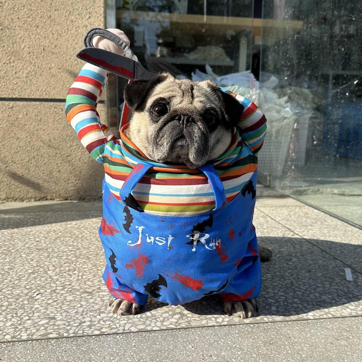 Chucky Standing Dog Costume