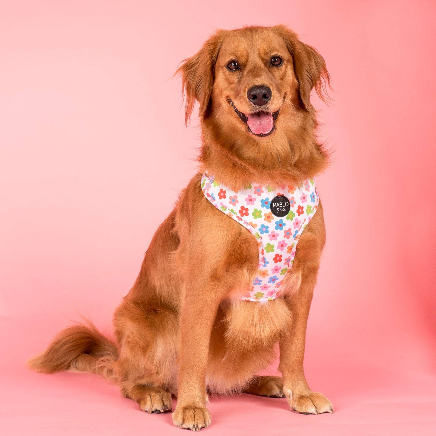 Posy Adjustable Dog Harness