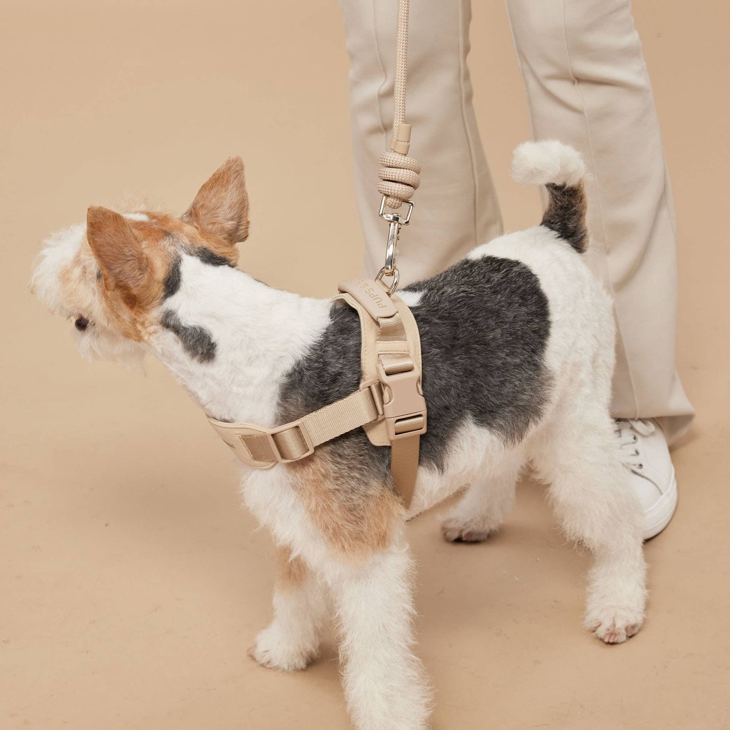 Rover Dog Harness