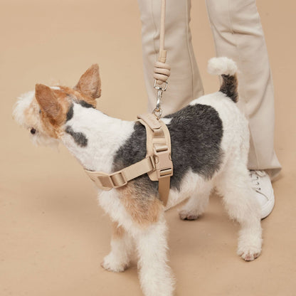 Rover Dog Harness