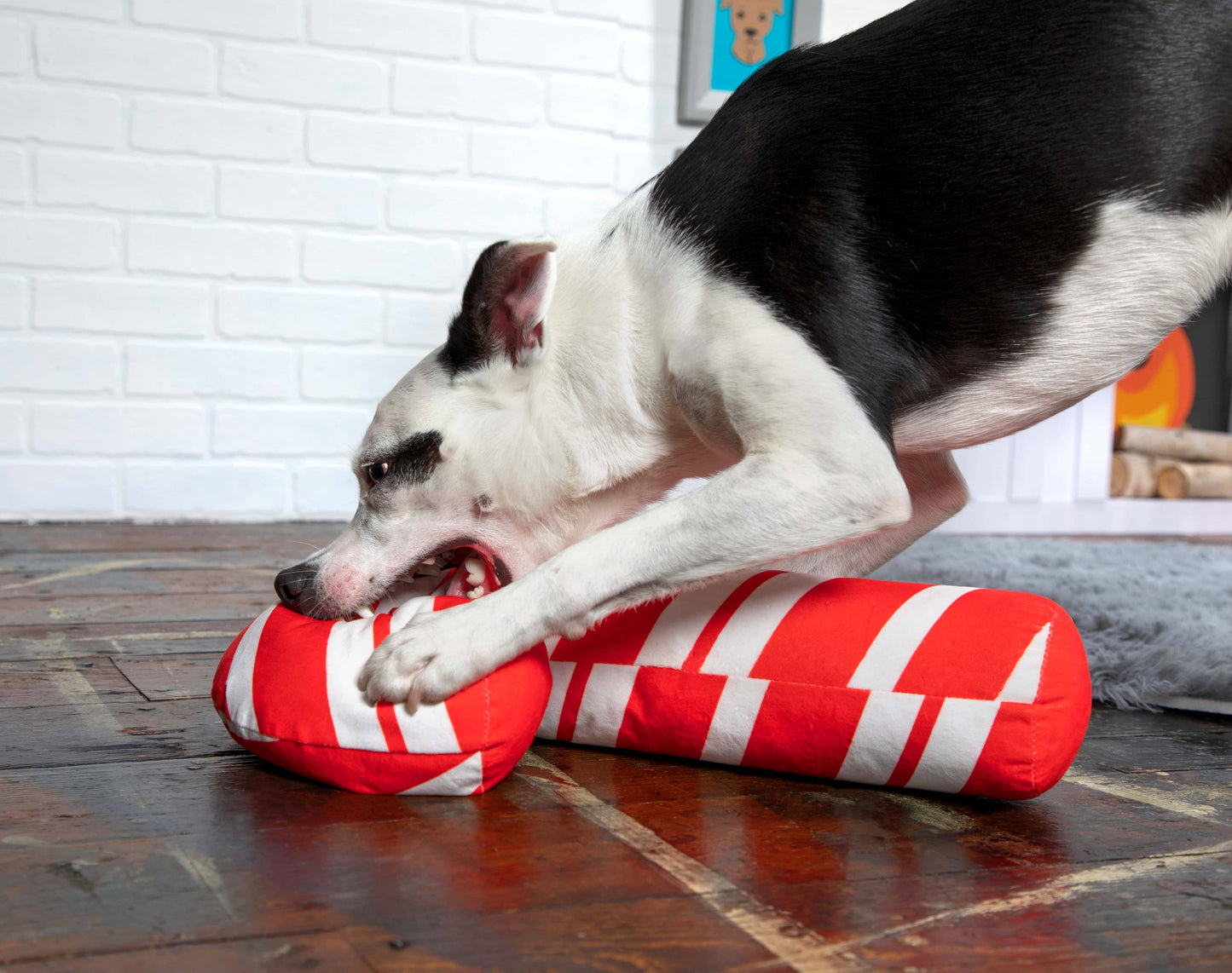 Grandy Cane Plush Dog Toy