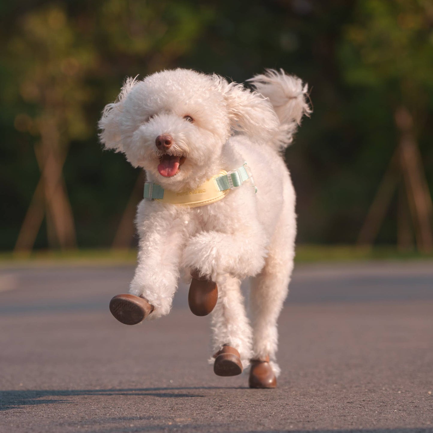 Jelly Dog Harness - Cream Soda