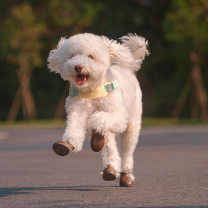 Jelly Dog Harness - Cream Soda