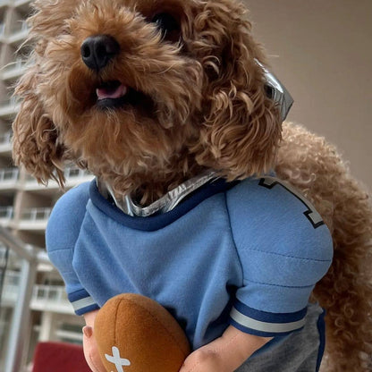 Disfraz de perro de Halloween de QuarterBark