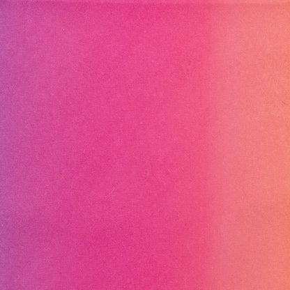 Pupfluencer Dog Bandana