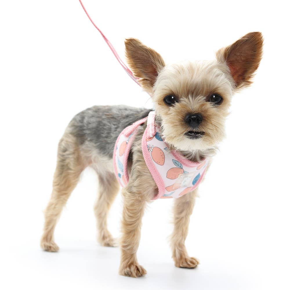 EasyGO Dog Harness Lemon Pink