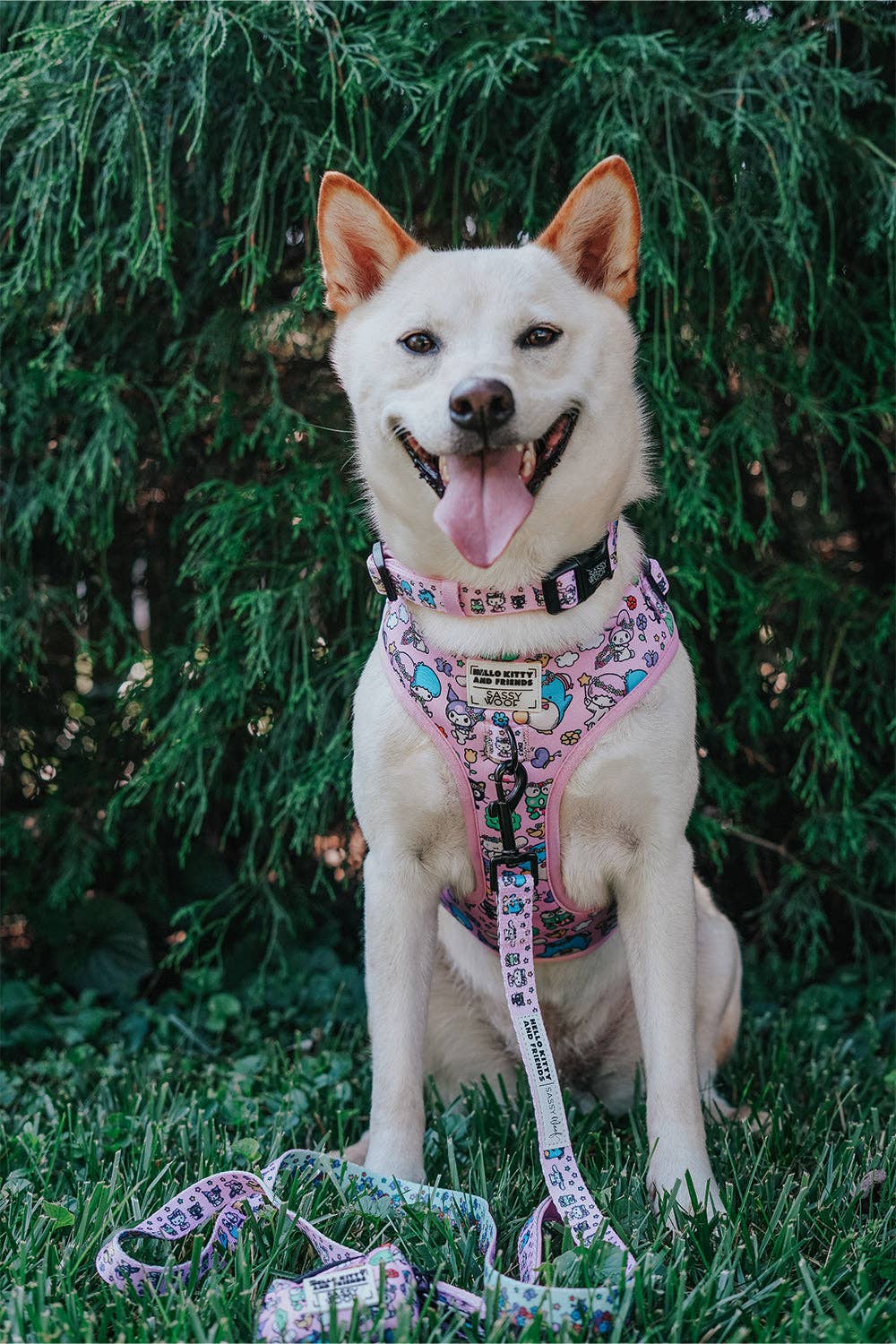 Hello Kitty® & Friends Flower Festival Dog Adjustable Harness