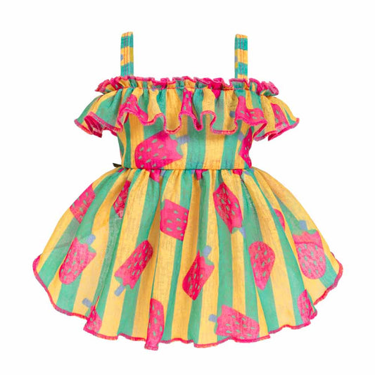 Bohemian Strawberry Ice Pop Dog Dress