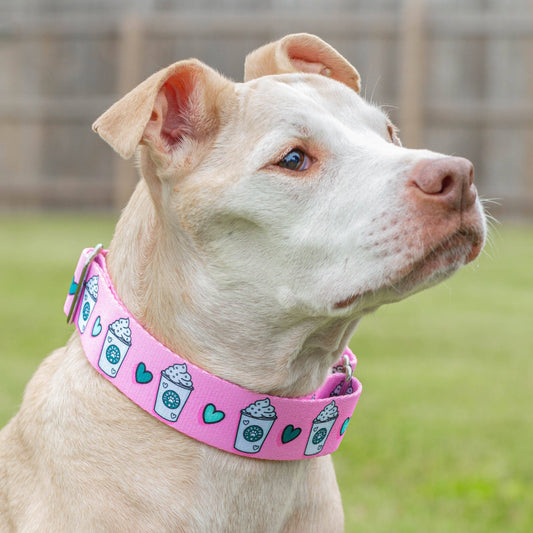 Pup Cups Dog Collar - Pink