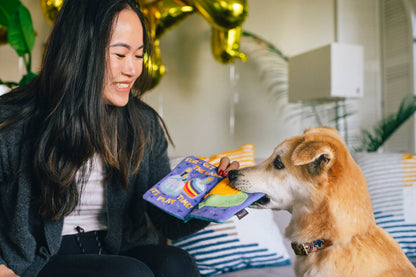 Party Animal Collection - Assorted Toys