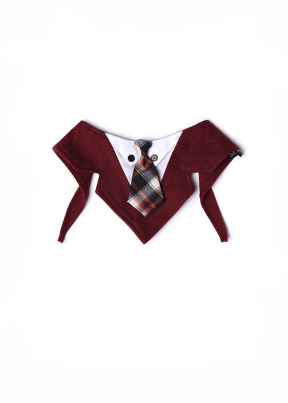 Craig Neck Tie Formal Bandana