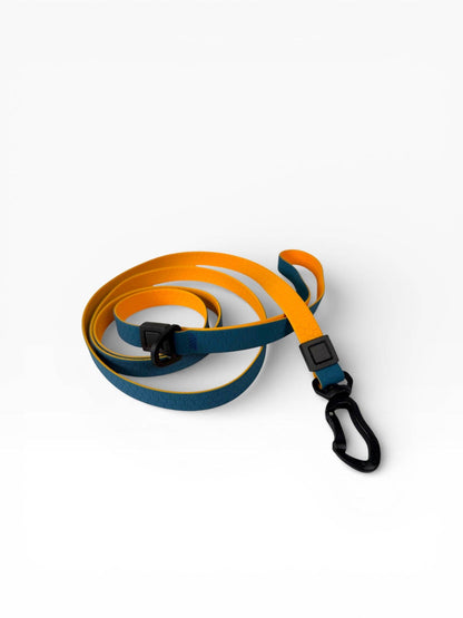 Hexagon Waterproof Leash for Small Dogs