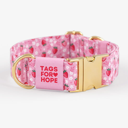 Strawberry Sweetheart Dog Collar