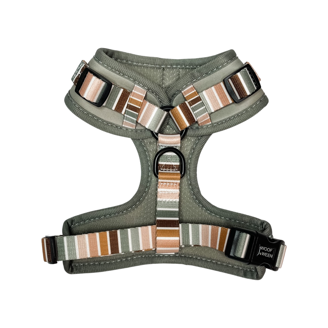 Sage Sunset Adjustable Dog Harness