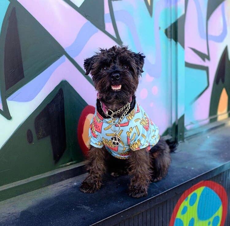 French Fries Dog Shirt