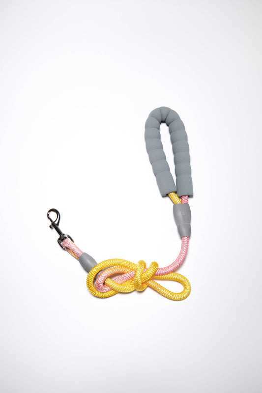 Gradient Pink/Orange Dog Leash