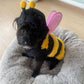 The Wanna-Bee Halloween Dog Costume