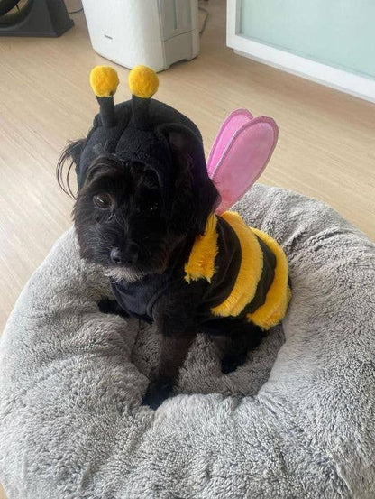 El disfraz de perro Wanna-Bee para Halloween