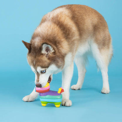 Life's a Paw-ty Latex Dog Toy