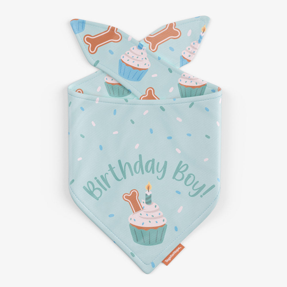 Birthday Boy Reversible Bandanas - Blue