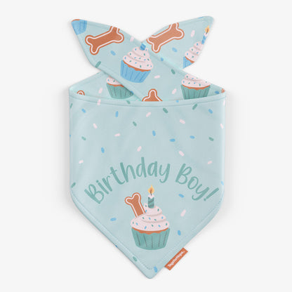 Birthday Boy Reversible Bandanas - Blue