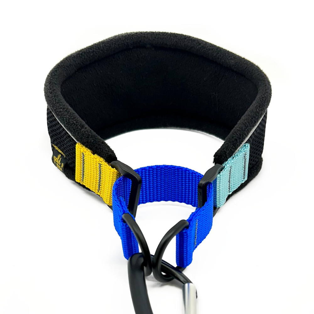 Featherweight Hound Collar