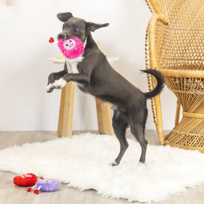 PetShop by Fringe Studio Love Connection Plush Dog Toy