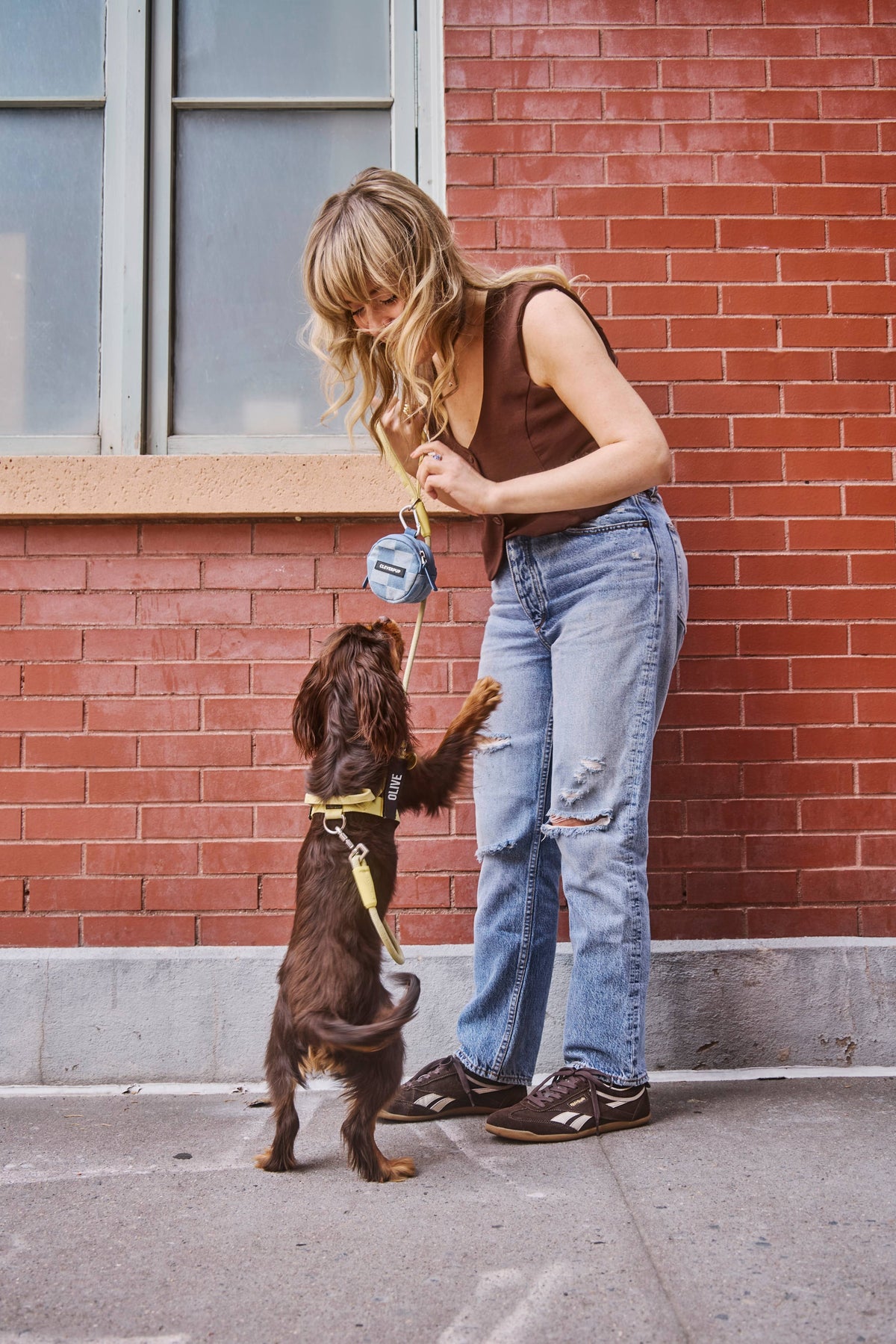 Denim Check Snackpack-Double Insulated Dog Treat Pouch