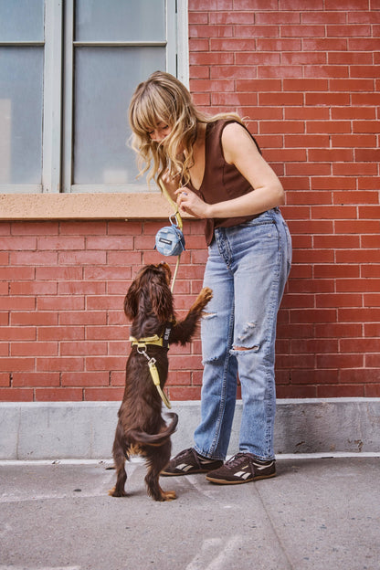 Denim Check Snackpack-Double Insulated Dog Treat Pouch