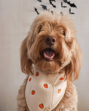 Fall Dog Bandana - Pumpkin Hollow