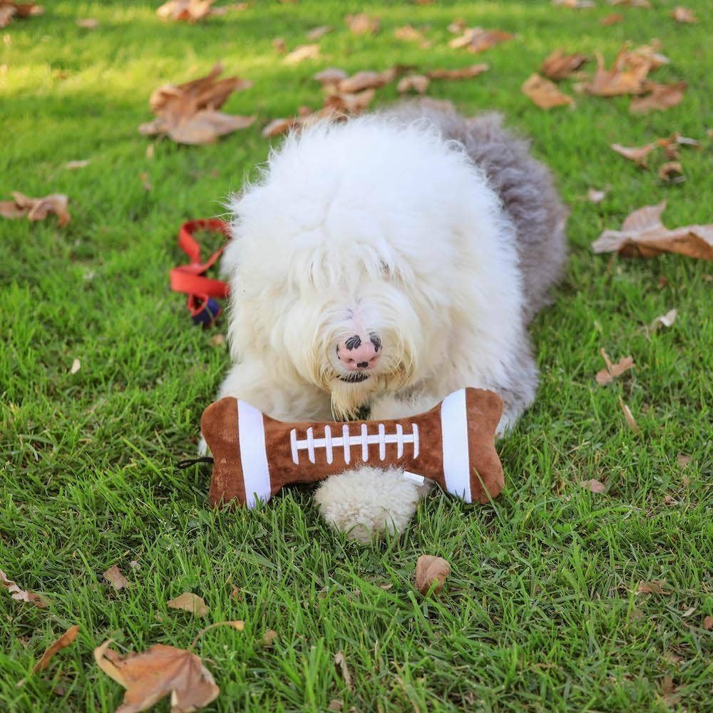 Power Plush Football Bone For Dogs