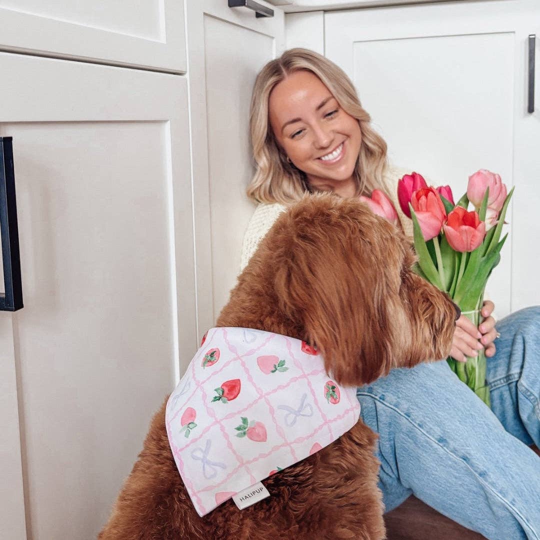 Strawberry Sundays Reversible Dog Bandana