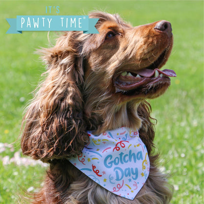 Bandana Pawty Time Gotcha Day (tallas variadas)