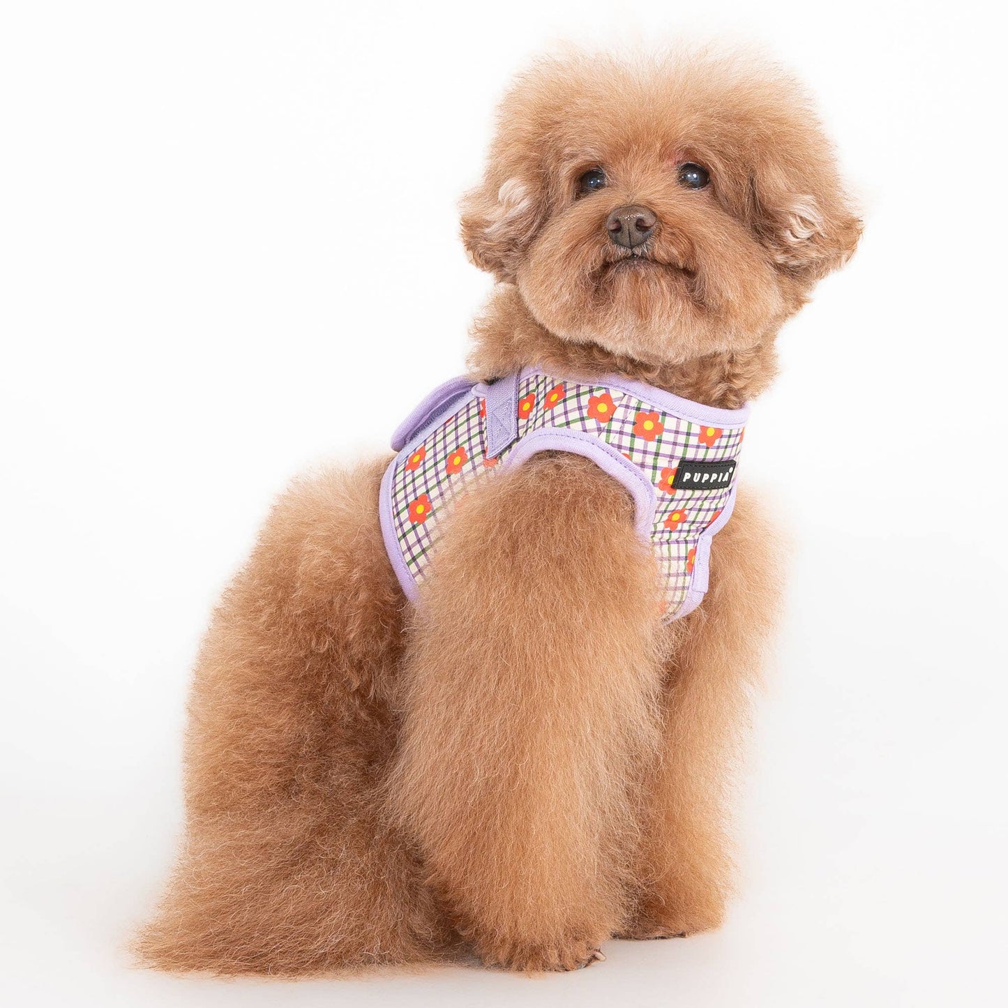 Westley Dog Vest Harness Step-In Flower Pattern