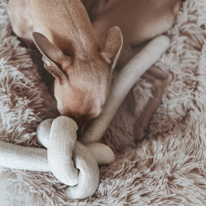 Nou Enrichement Dog Toy
