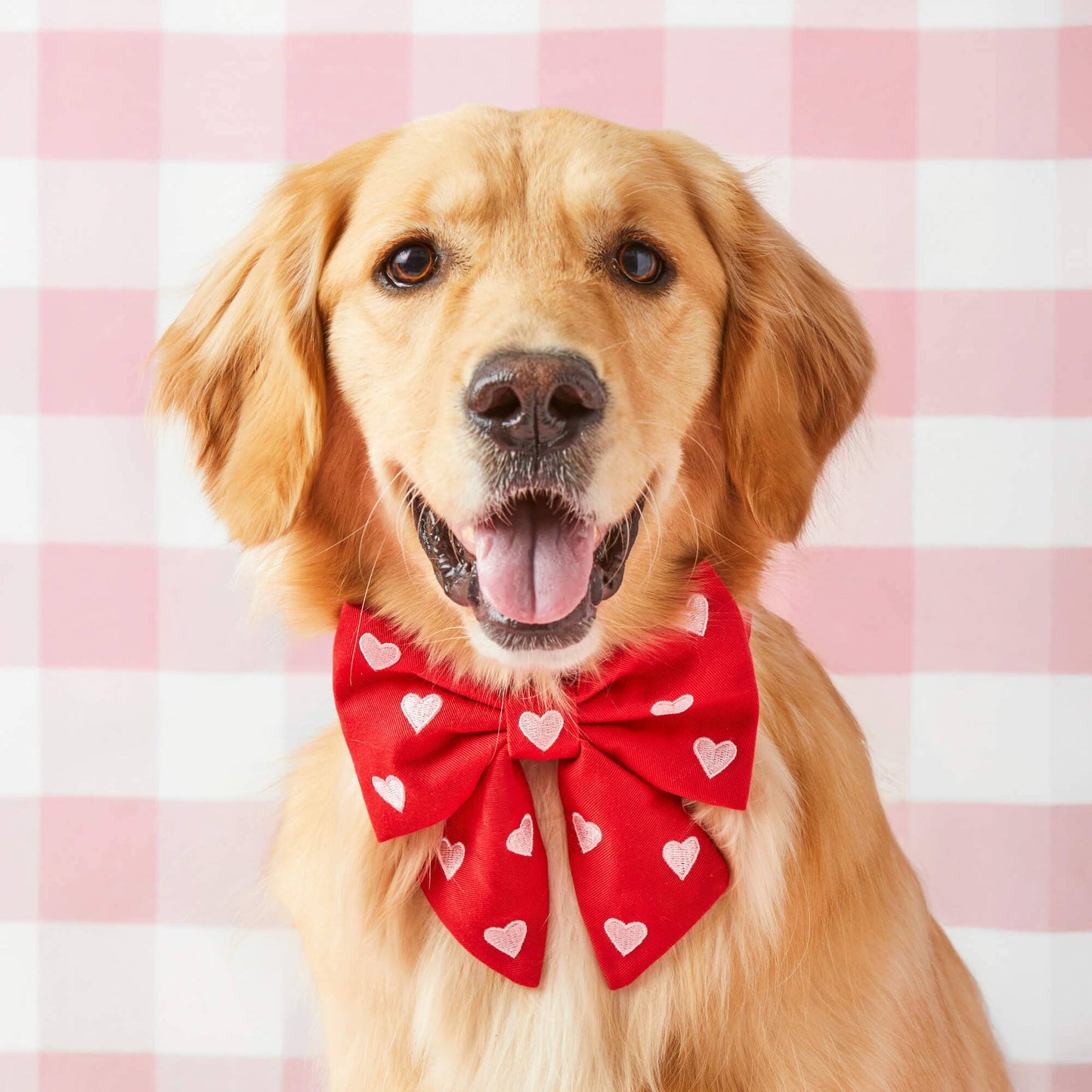 Hearts Embroidered Lady Dog Bow